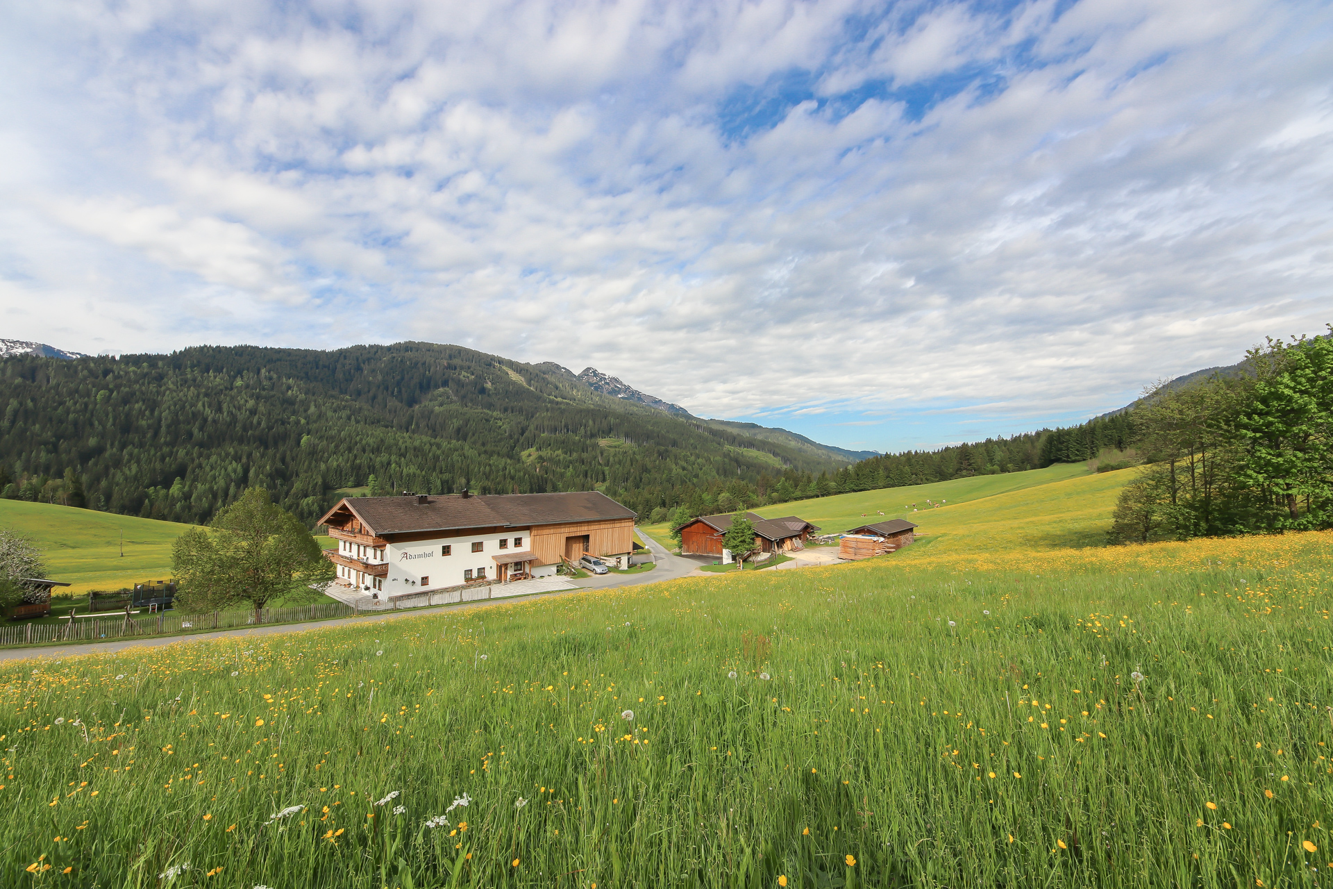 Ferien in den Bergen - Adamhof Leogang