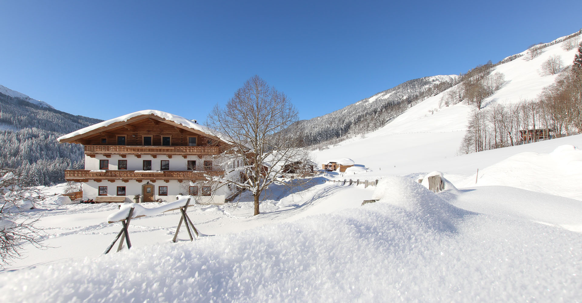 Ferienbauernhof Leogang - Adamhof