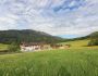 Ferien in den Bergen - Adamhof Leogang