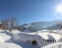 Winterurlaub am Bauernhof